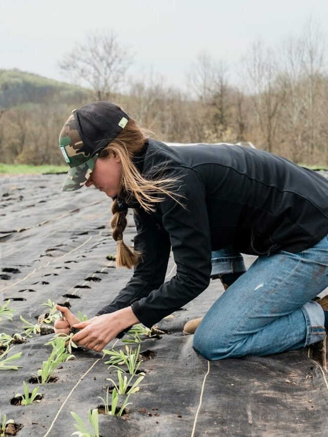 Regenerative agriculture