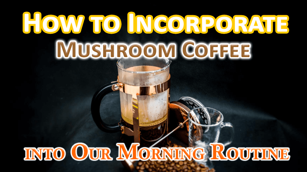 Mushroom coffee